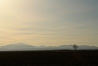 IMG_0215.JPG