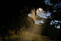 IMG_0308.JPG