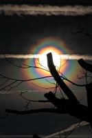 IMG_0375.jpg