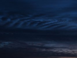 IMG_7046.JPG