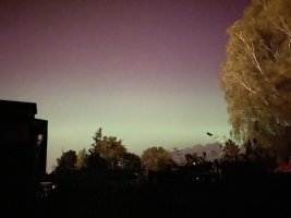 IMG_1391.jpeg