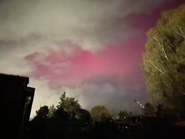 IMG_1388.jpeg