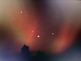 IMG_5129.jpeg