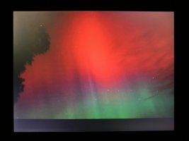 IMG_5120.jpeg