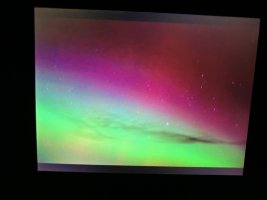 IMG_5114.jpeg