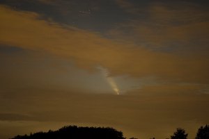 IMG_0973.jpg