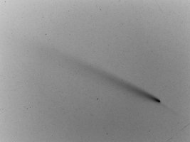 PA190008JpegAdeInvertiert.jpg