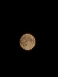 PXL_20241016_184210009.NIGHT~4.jpg