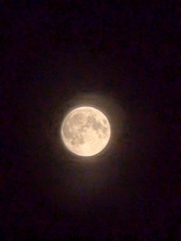 PXL_20241016_184210009.NIGHT.jpg