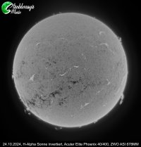 Sonne H-Alpha Acuter - 24-10-24 swi.jpg