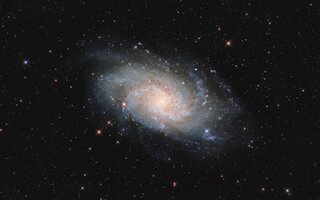 Dreiecksgalaxie M33.jpg