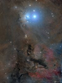 IC-348.jpg