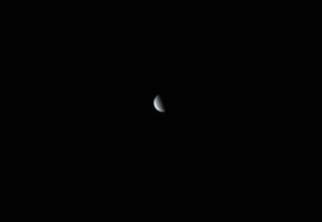 IMG_4391.jpeg