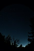 IMG_1370.jpg