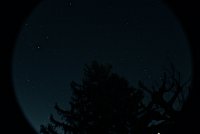 IMG_1380.JPG