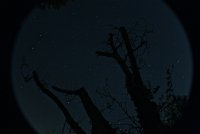 IMG_1385.JPG