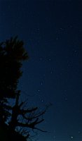 IMG_1378.JPG