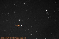 29032019Pallas2_2.jpg