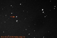 30032019UT2306Pallas2.jpg