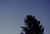 IMG_1648.JPG