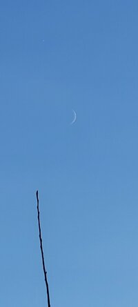 20250103_152028.jpg