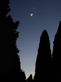 Mond-Venus1.jpg