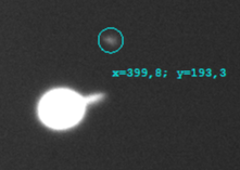 2025.01.04 17-39-14,8.png