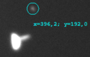 2025.01.04 17-39-43.1.png
