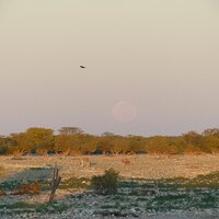 P1010224korr.JPG