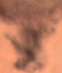 Screenshot_20250116_111615_Gallery.jpg