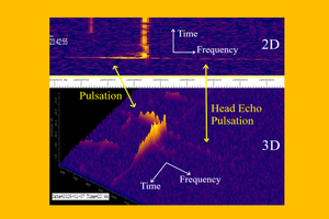 Head-Echo-Graphical-Abstract.png