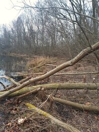 20250203_153303.jpg 20250203_153303.jpg