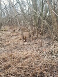 20250203_153403.jpg 20250203_153403.jpg