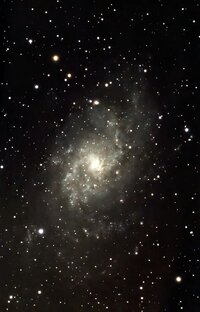 M33.jpg