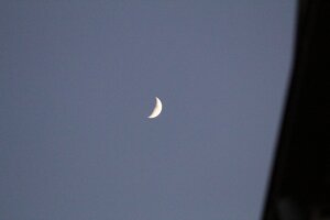 IMG_0226.JPG