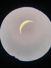 IMG_6880.jpeg