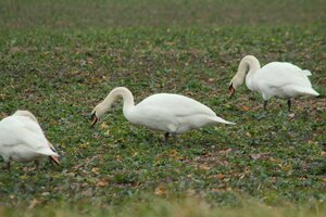 IMG_7690.JPG