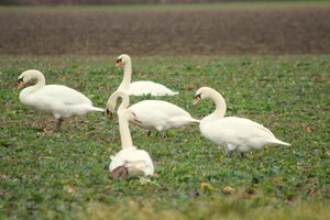 IMG_7702.JPG
