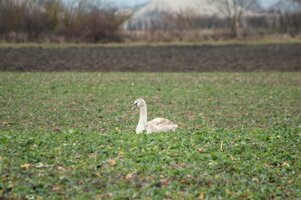 IMG_7706.JPG