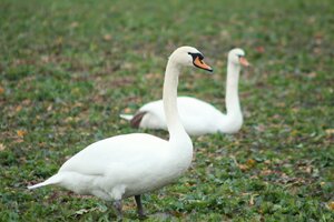 IMG_7707.JPG