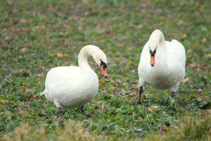 IMG_7709.JPG