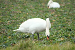 IMG_7711.JPG