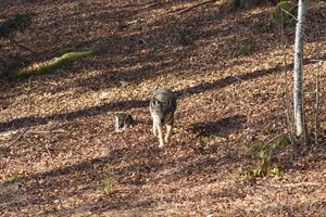 IMG_5348.jpg