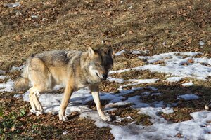IMG_5352.jpg