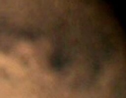 Screenshot_20250217_101625_Gallery.jpg