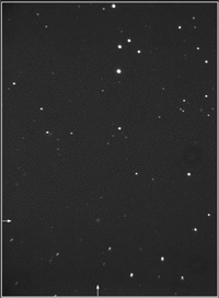 Image1.gif