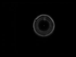 A-01_12062011_212337.jpg