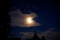 IMG_2196.JPG