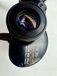 IMG_8684.jpg