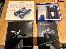 IMG_7794.jpeg